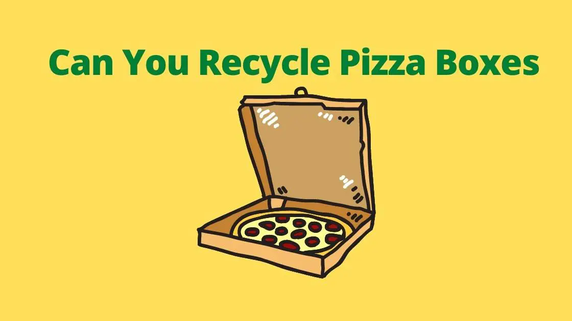Can You Recycle Pizza Boxes [Yes, it's possible to recycle] - eco