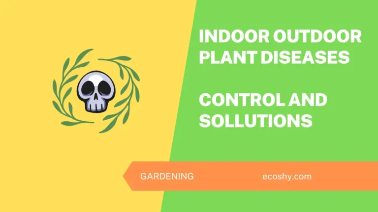 Indoor Outdoor Plant Diseases [Control and Sollutions ]