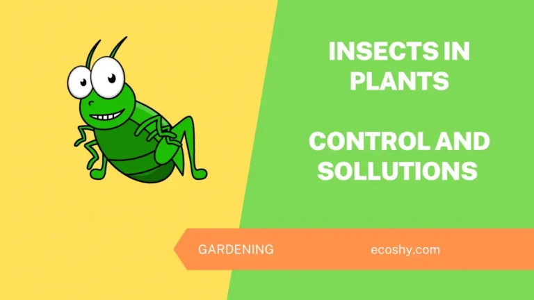Invasive Insects in Plants