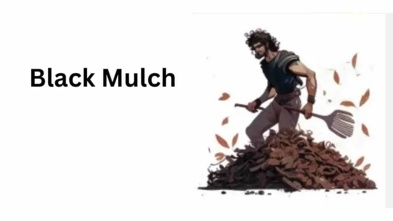 Black Mulch
