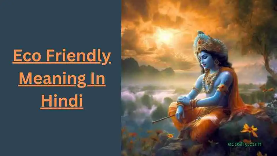 Eco Friendly Meaning In Hindi