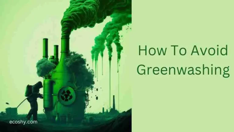 How To Avoid Greenwashing