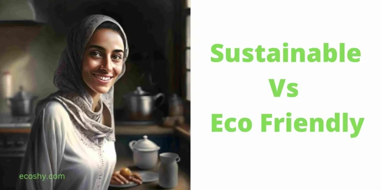Sustainable Vs Eco Friendly