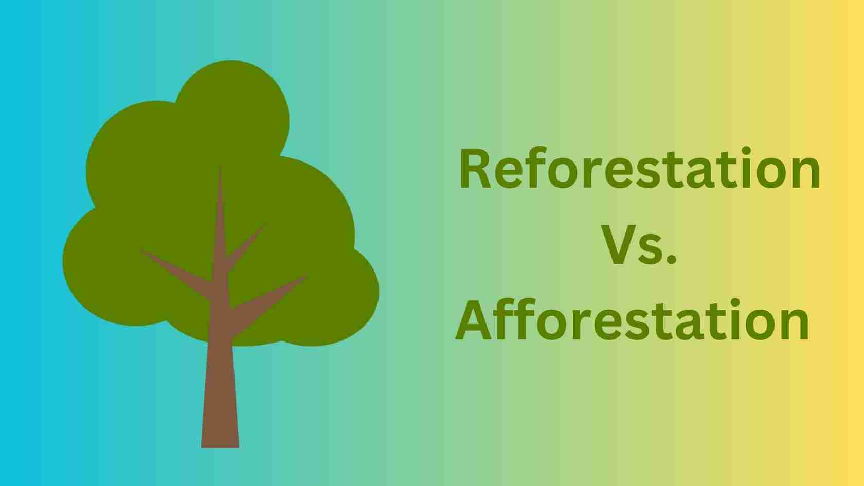 Reforestation Vs. Afforestation